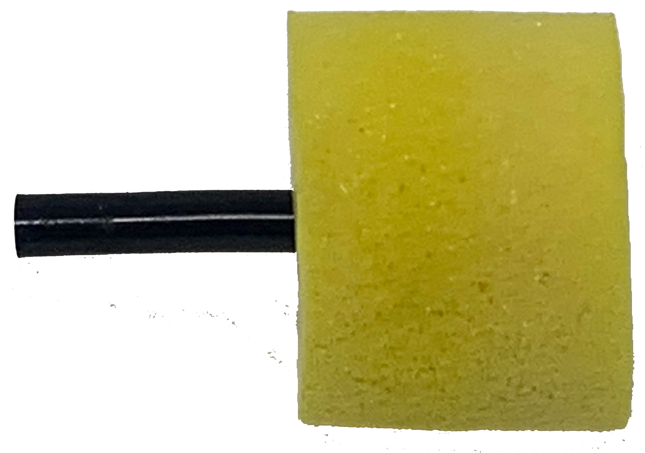 Foam Insert Large (10Pack) Bioresearch